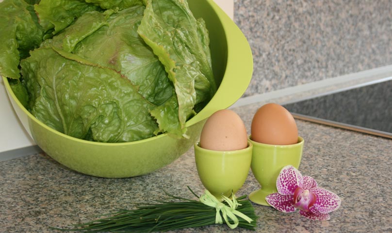 Salat und frische Eier