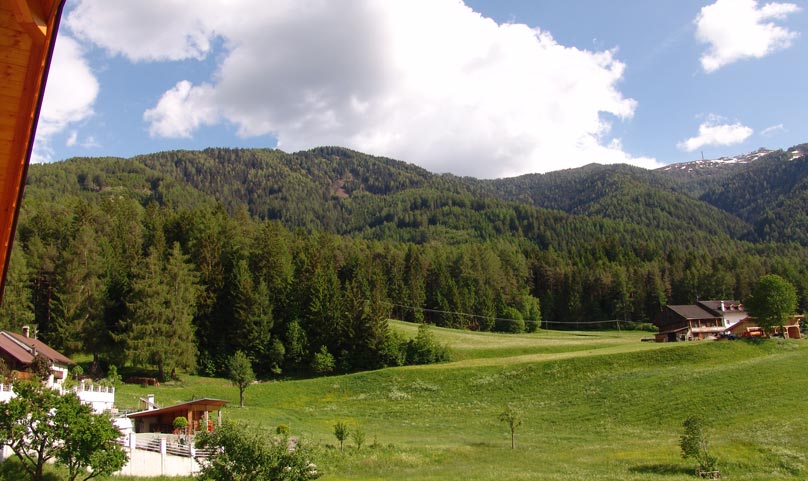 Ferienwohnung Kronblick Balkon